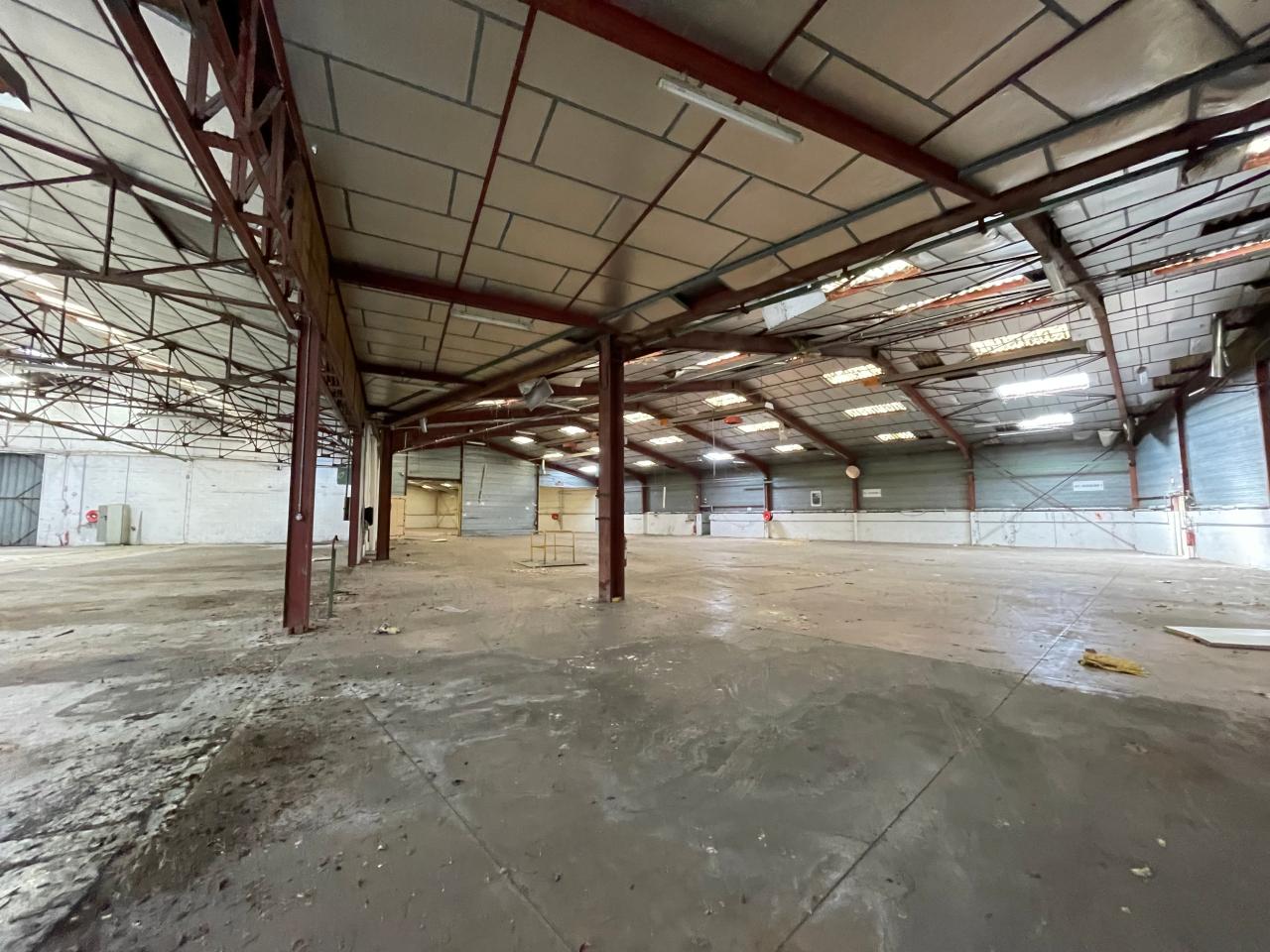 Vente local d'activité Thiverval-Grignon Yvelines OVACT2532599 2