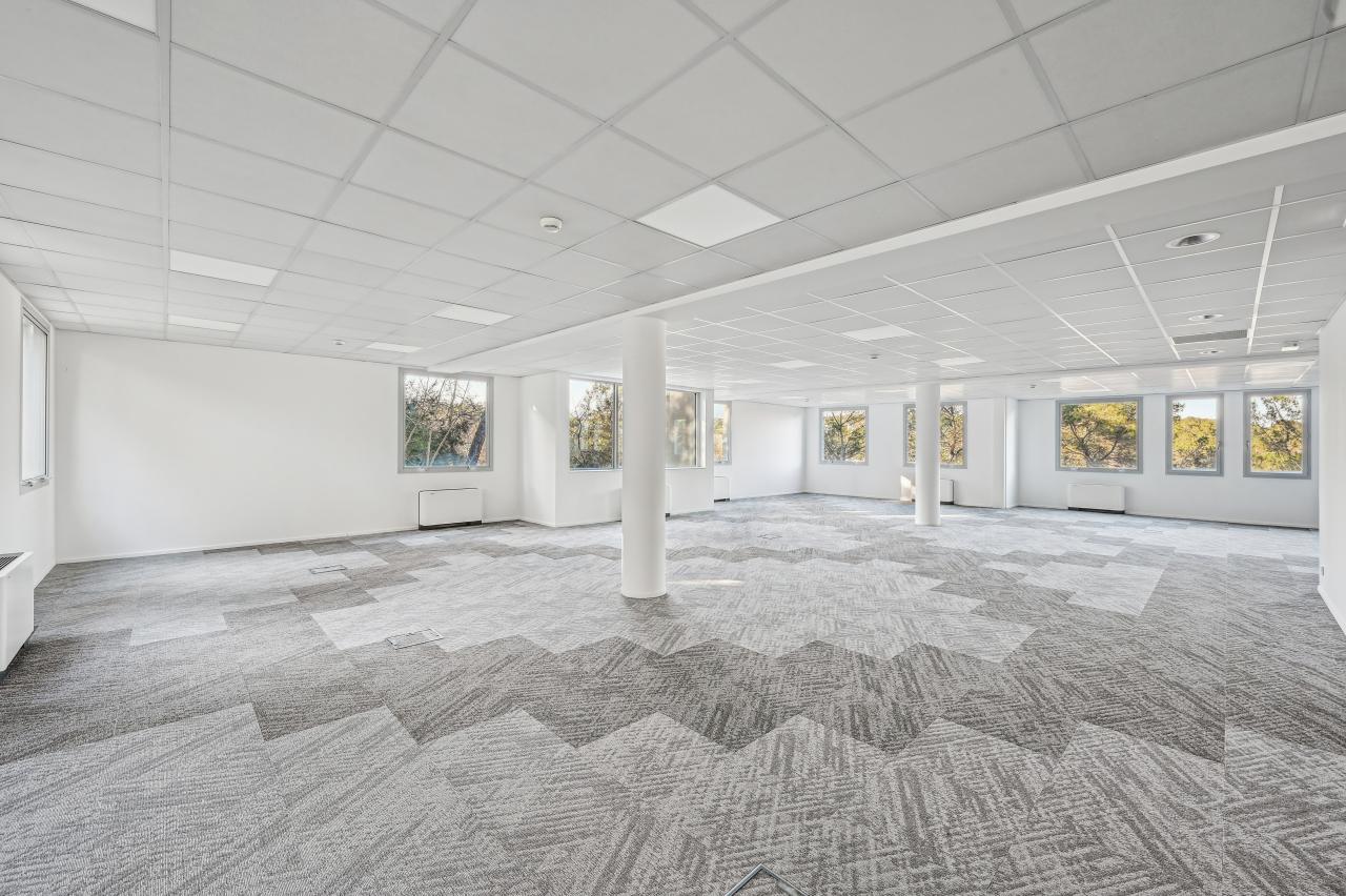 Location bureau Biot Alpes-Maritimes OLBUR2115387 11