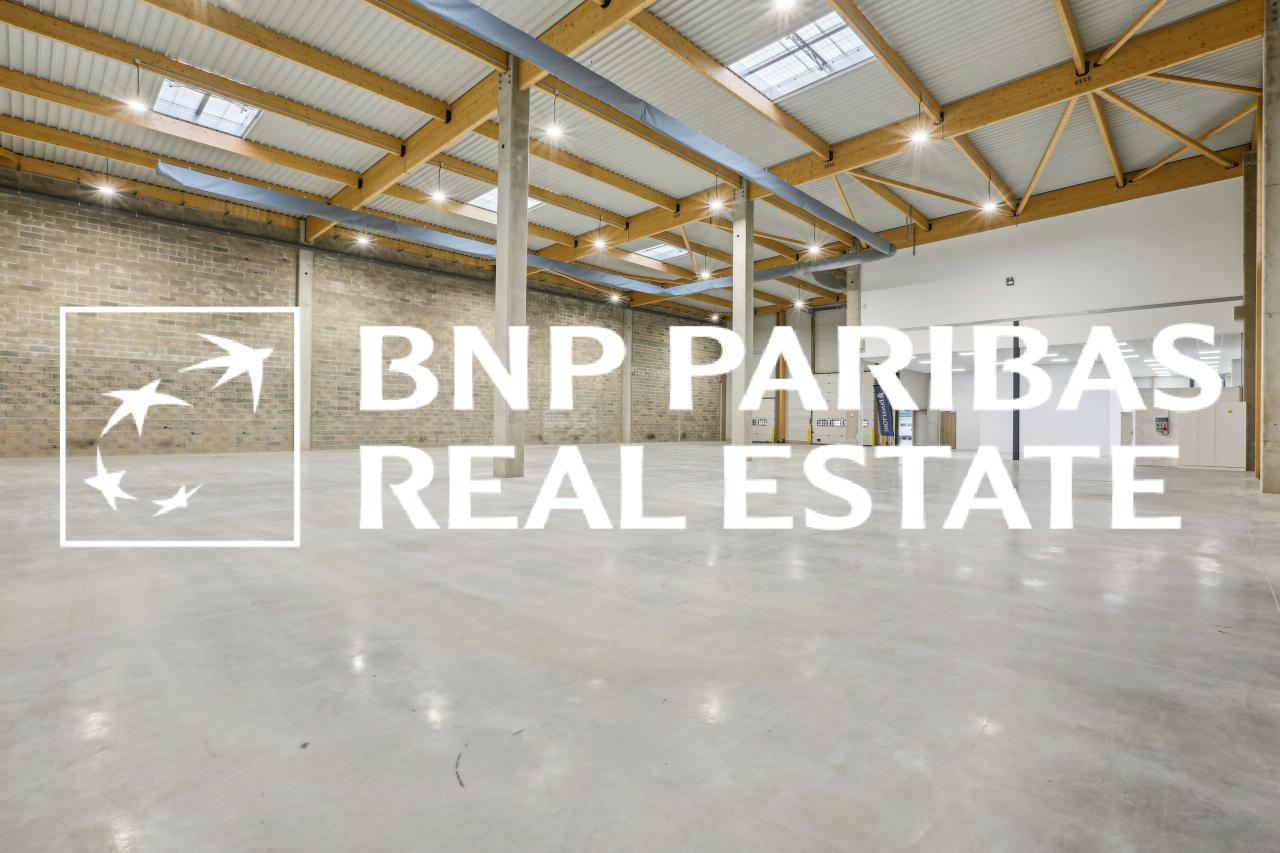 Location local d'activité Moissy-Cramayel Seine-et-Marne OLACT2201100 10
