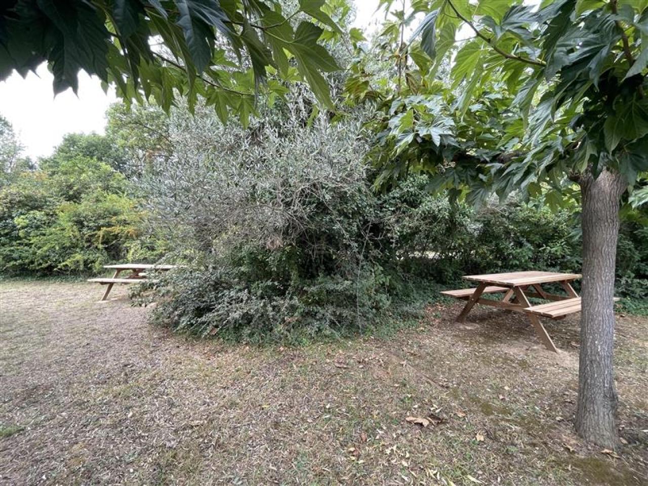 Vente bureau Baillargues Hérault OVBUR2532628 5