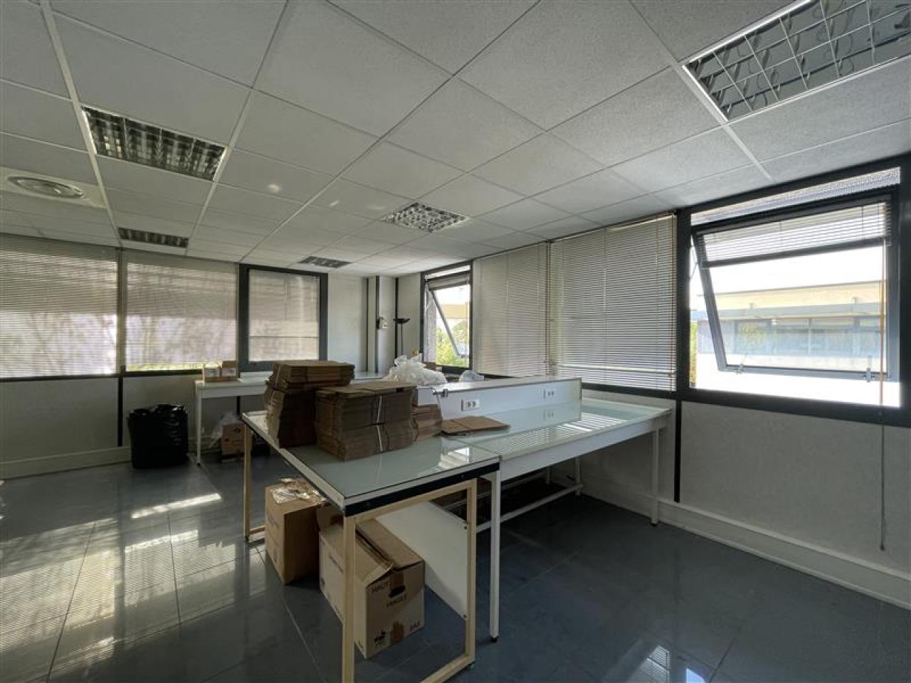 Location bureau Baillargues Hérault OLBUR2535144 5