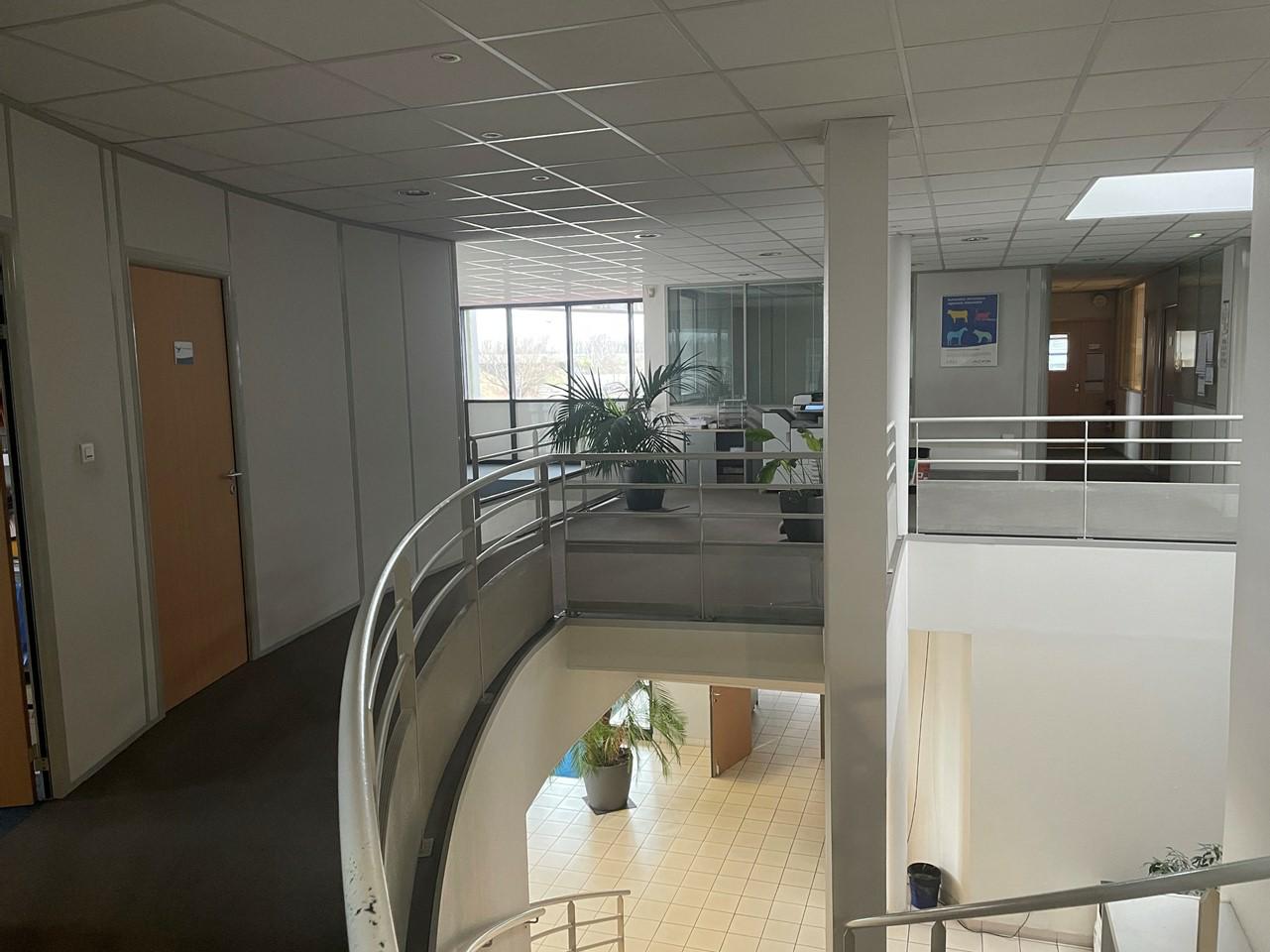 Location local d'activité Miribel Ain OLACT2314296 6