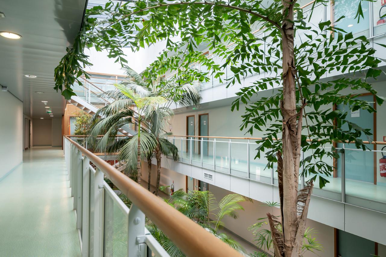 Location bureau Montpellier Hérault OLBUR2313967 6