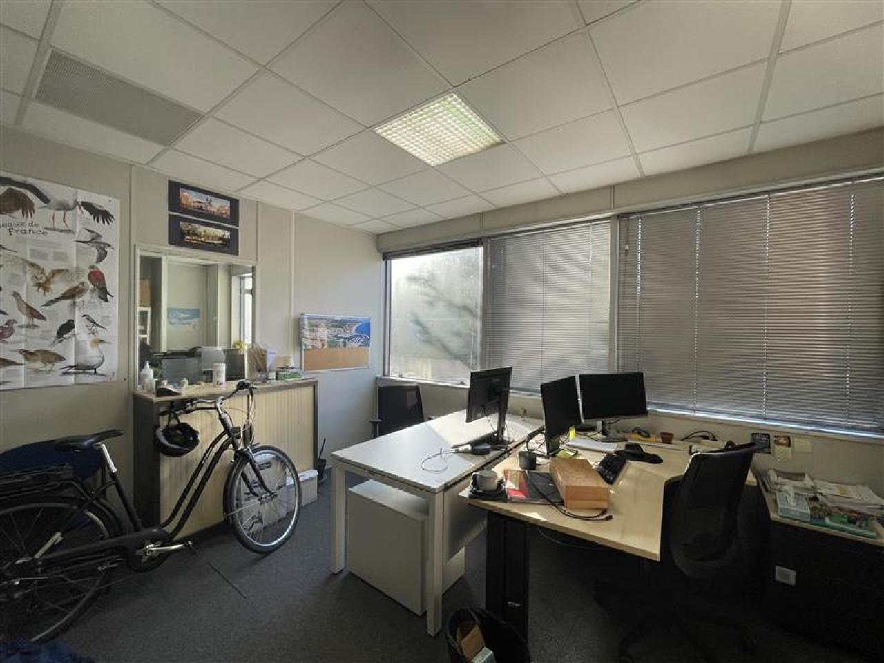 Location bureau Montpellier Hérault OLBUR2425991 34