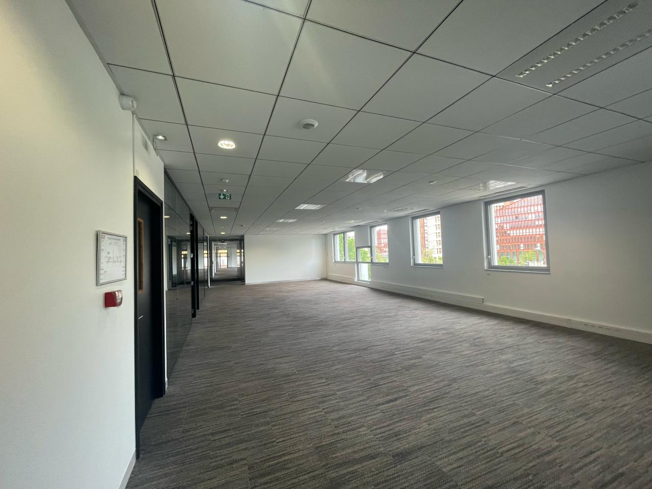 Location bureau Lyon Rhône OLBUR2112030 13