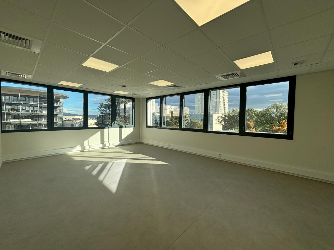 Location bureau Lyon Rhône OLBUR2119686 6