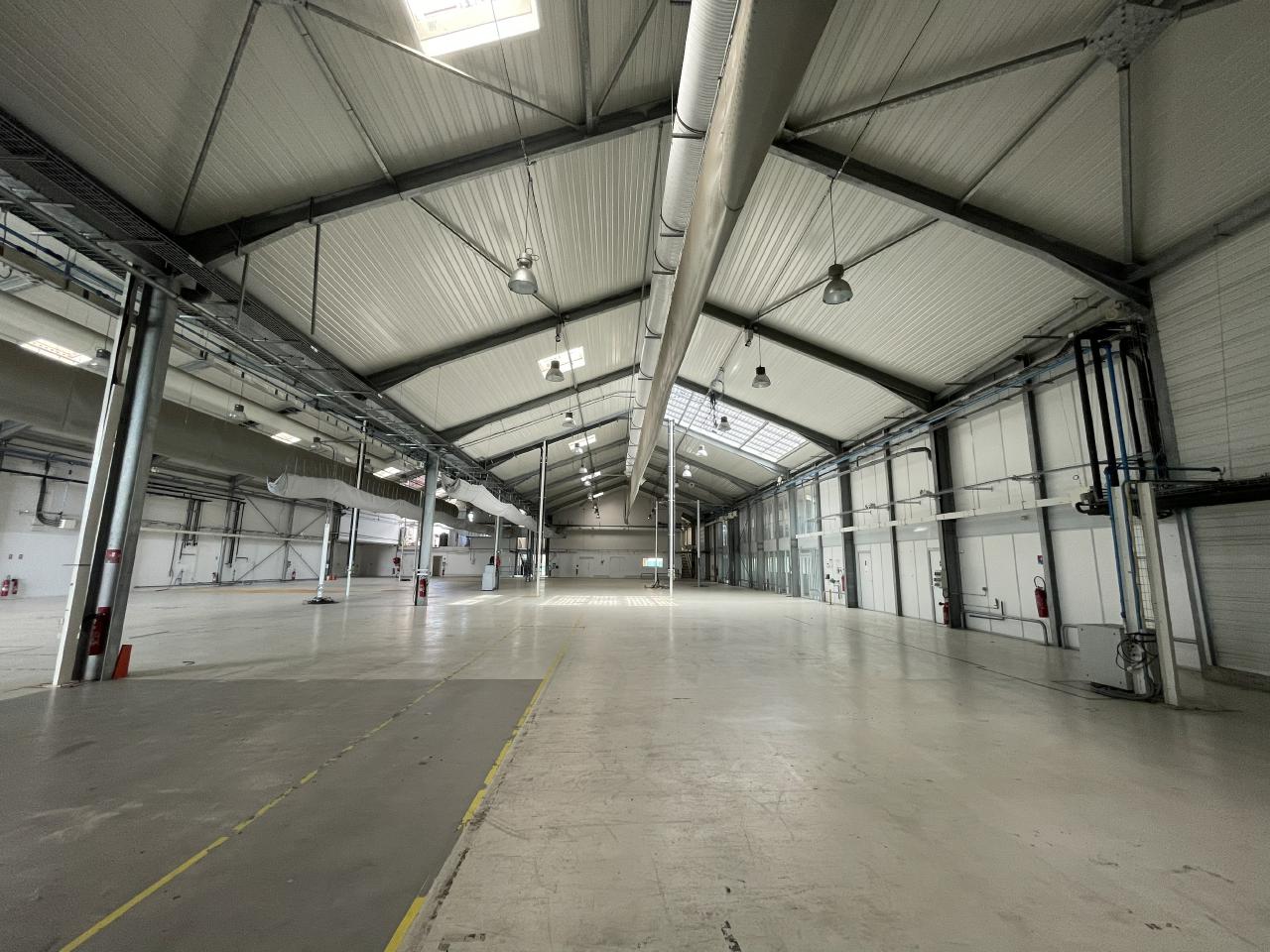 Location local d'activité Toulouse Haute-Garonne OLACT2421873 12