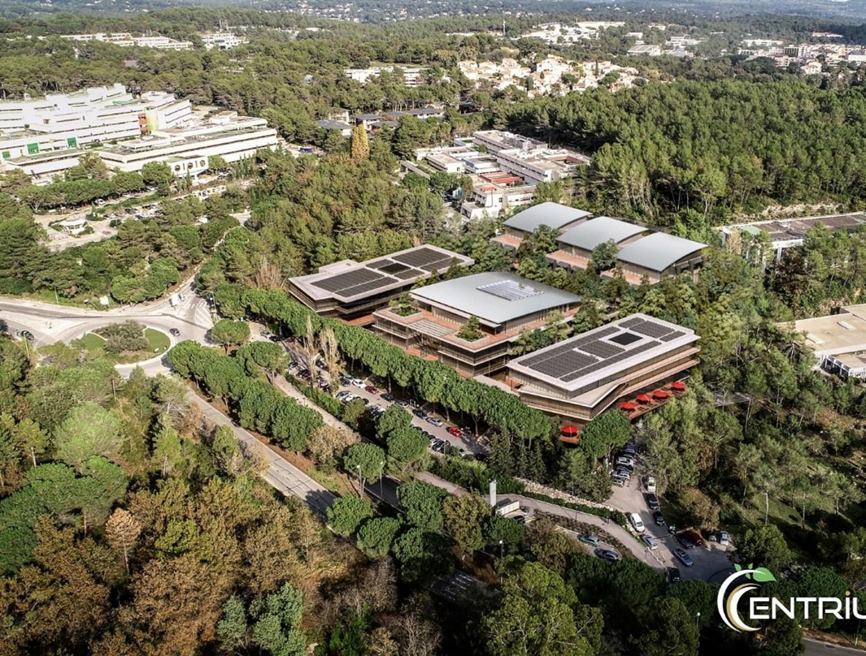 Location bureau Sophia Antipolis Alpes-Maritimes OLBUR2115392 13