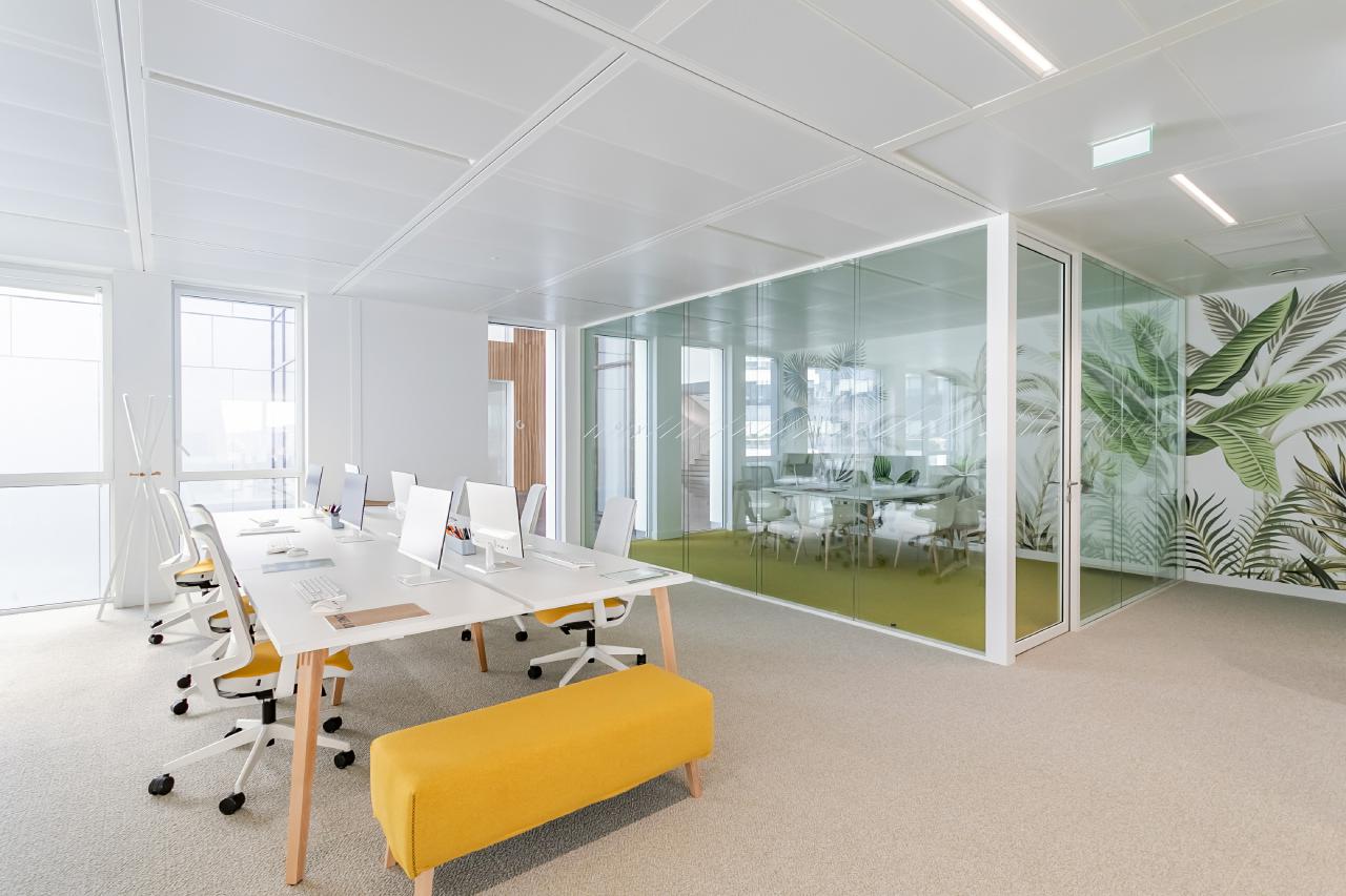 Location bureau La Plaine Saint-Denis Seine-Saint-Denis OLBUR2100311 11