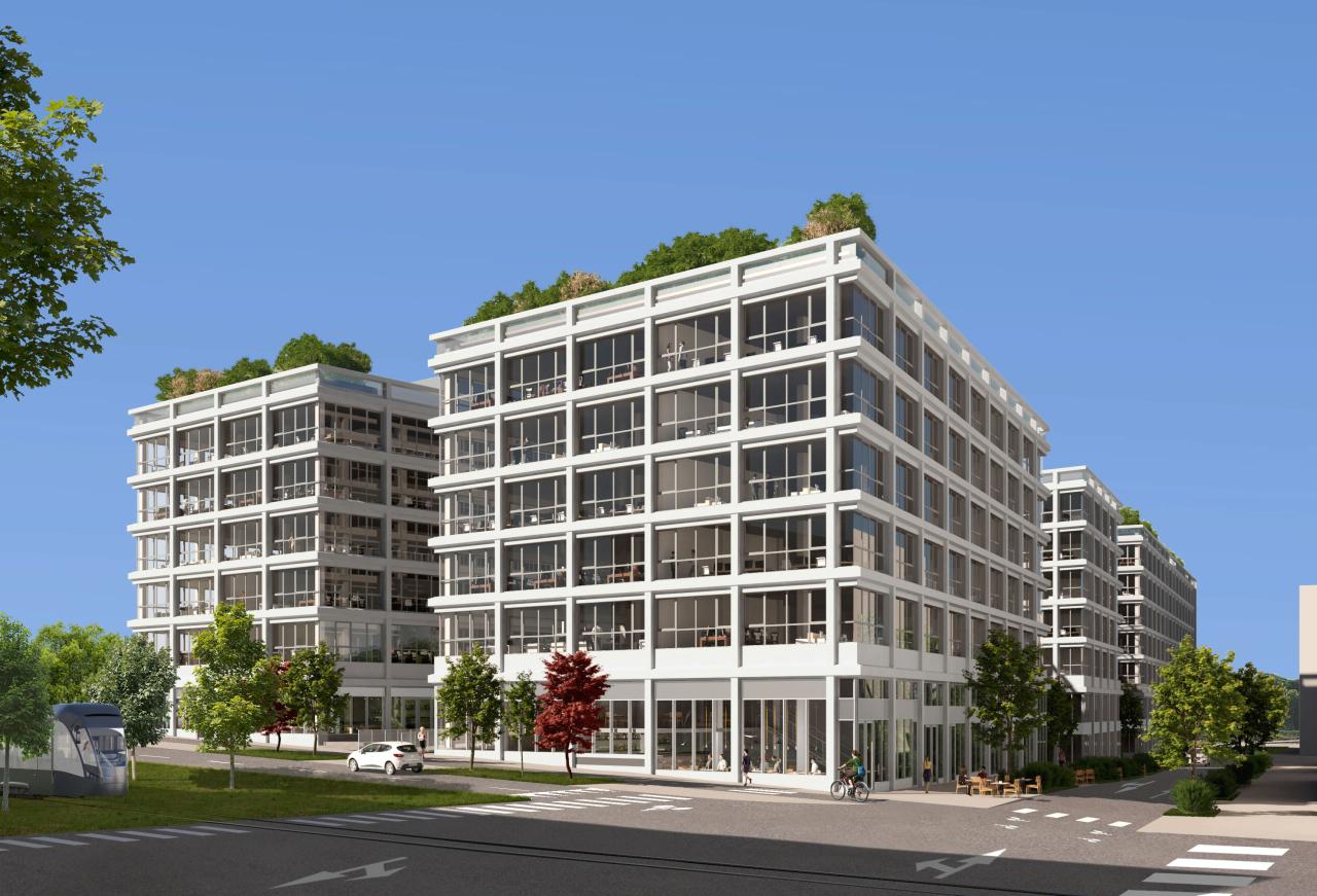 Location bureau Montpellier Hérault OLBUR2537202 22