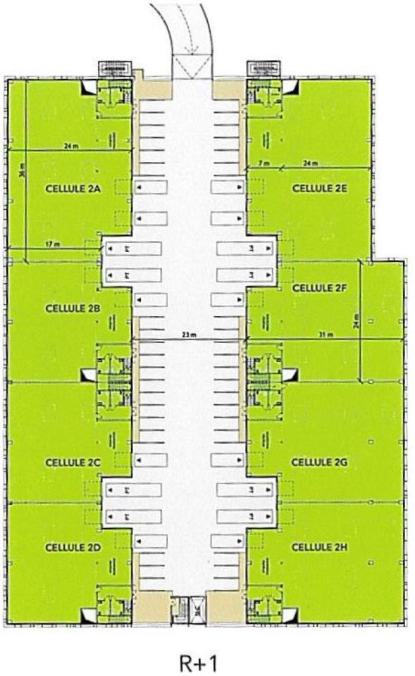 Location local d'activité Marseille Bouches-du-Rhône OLACT2536078 4