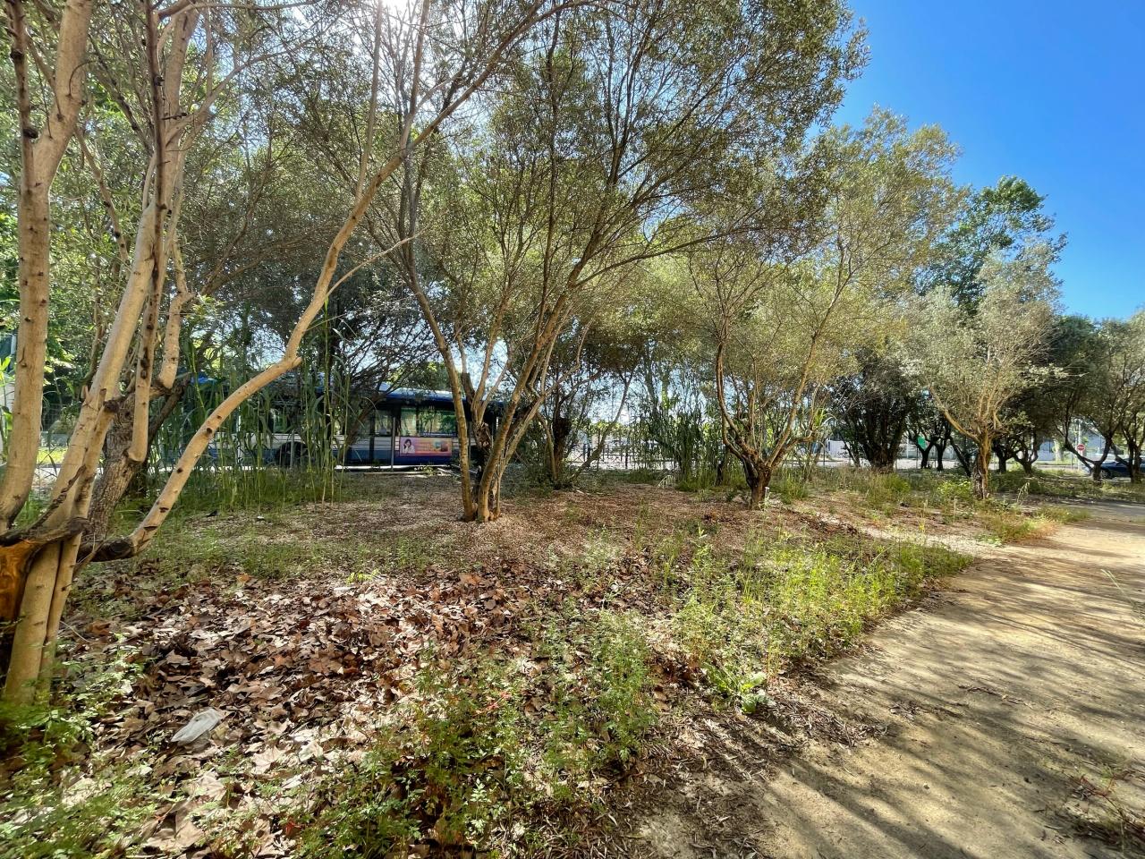 Vente local d'activité Montpellier Hérault OVACT2532440 29