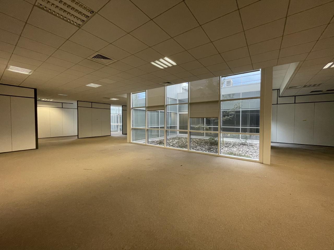 Location local d'activité Toulouse Haute-Garonne OLACT2207339 15