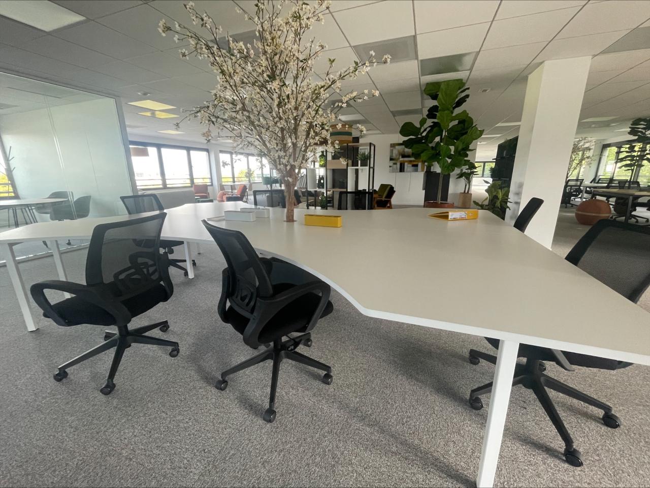 Location bureau Saint-Priest Rhône OLBUR2108812 7