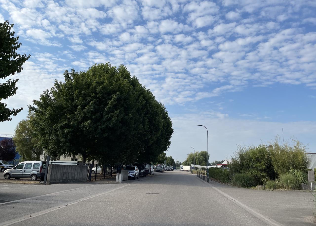 Location local d'activité Hoerdt Bas-Rhin OLACT2426405 11
