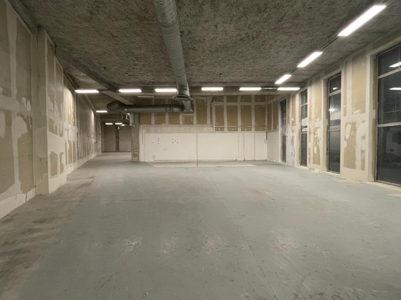 Location local d'activité Ivry-sur-Seine Val-de-Marne OLACT2534090 9