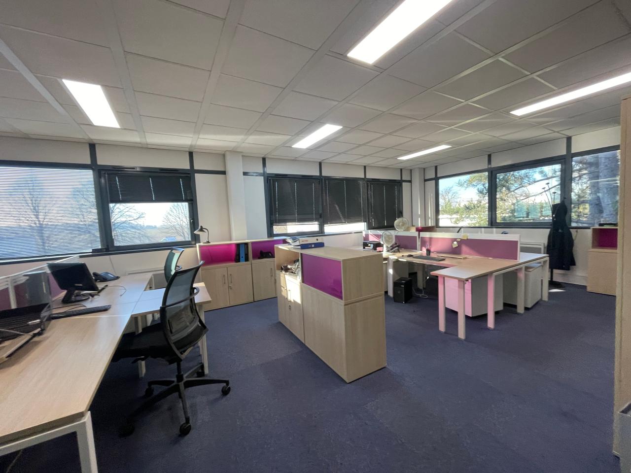 Vente local d'activité Saclay Essonne OVACT2530047 5