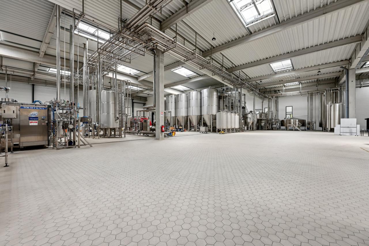 Location local d'activité Sucy-en-Brie Val-de-Marne OLACT2533681 3