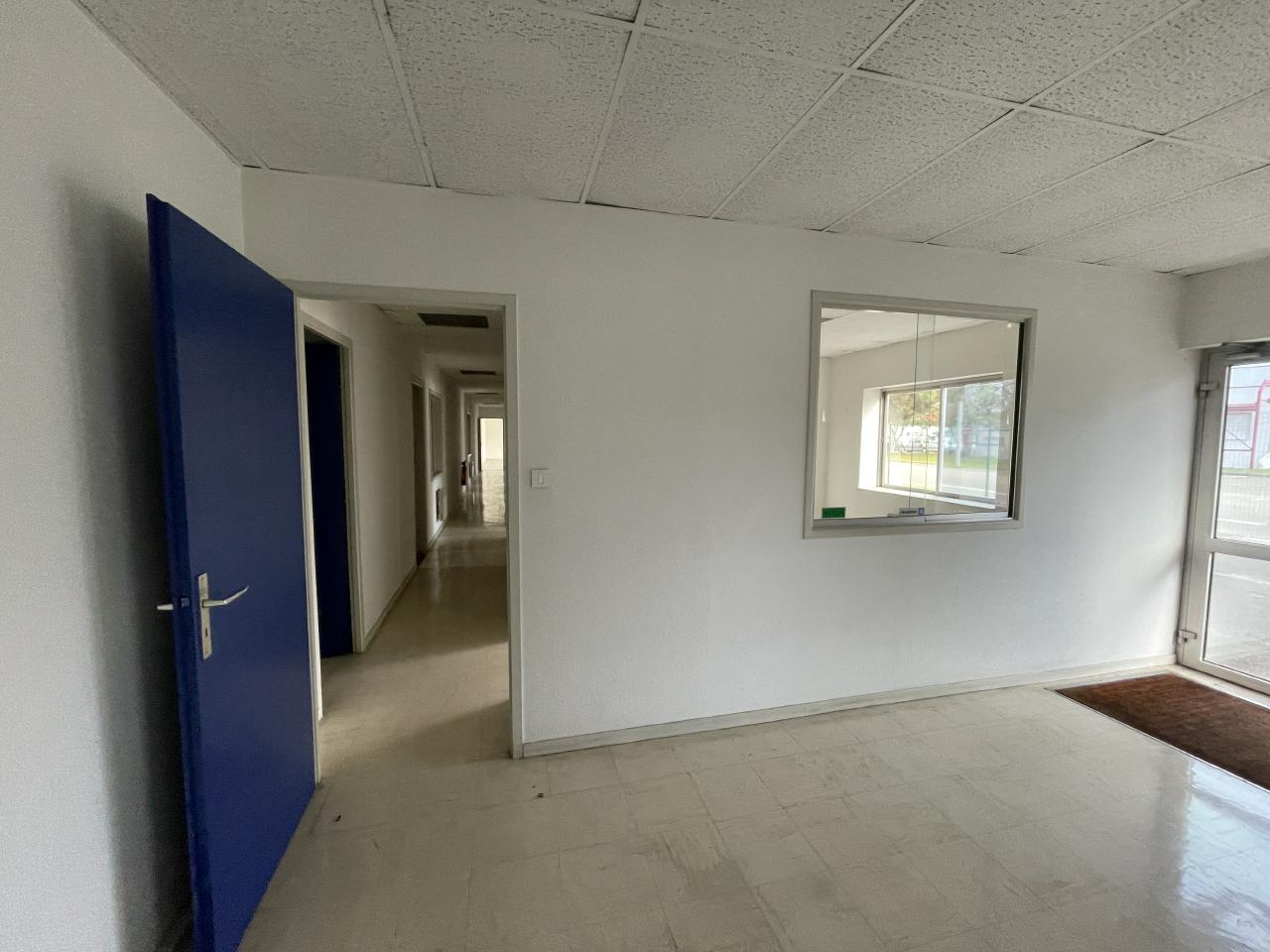 Vente local d'activité Fegersheim Bas-Rhin OVACT2534046 6