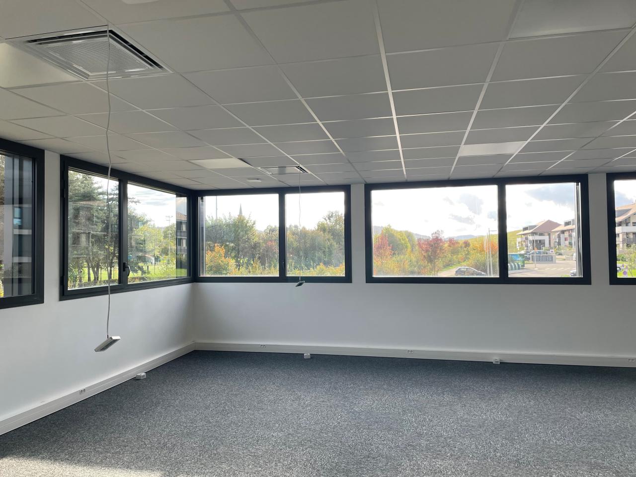 Location bureau Chavanod Haute-Savoie OLBUR2426563 2