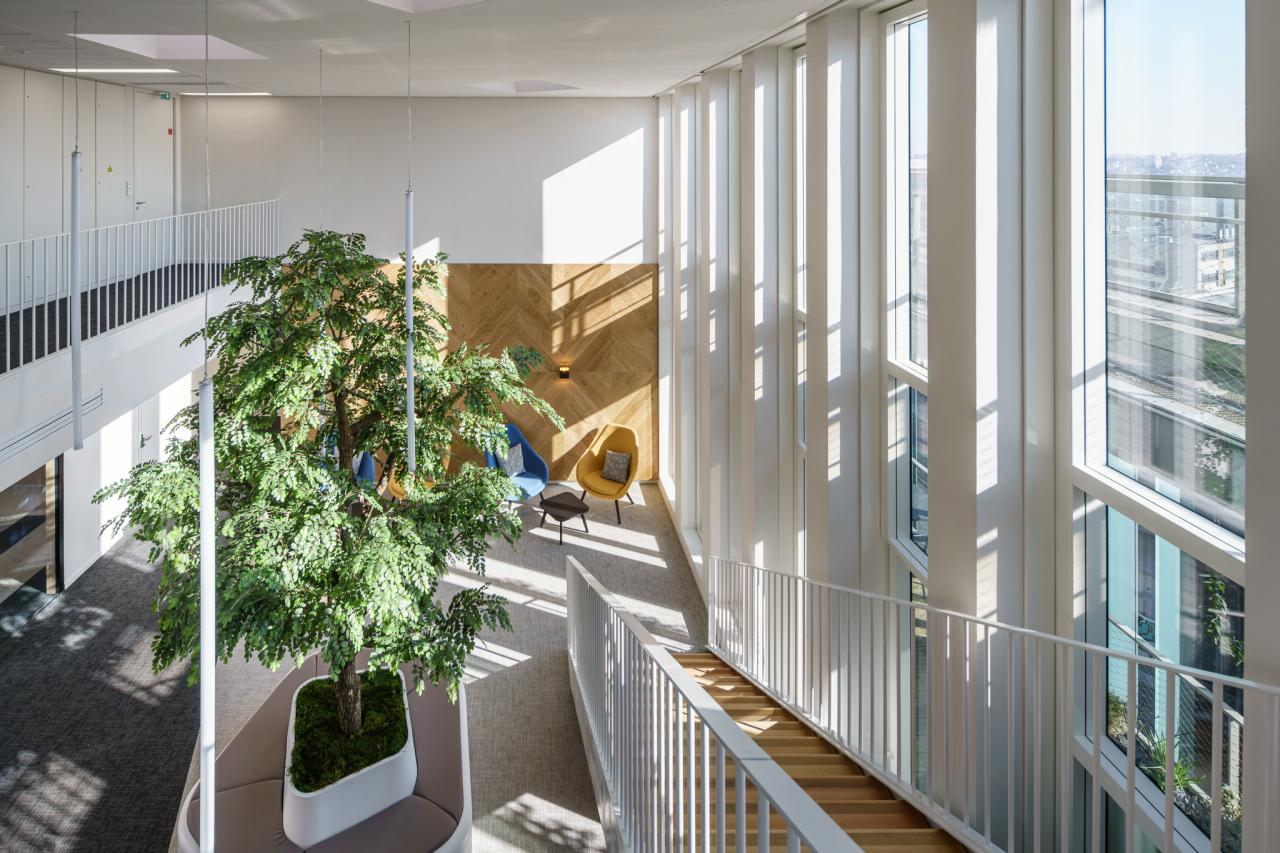 Location bureau Bagneux Hauts-de-Seine OLBUR2100344 13