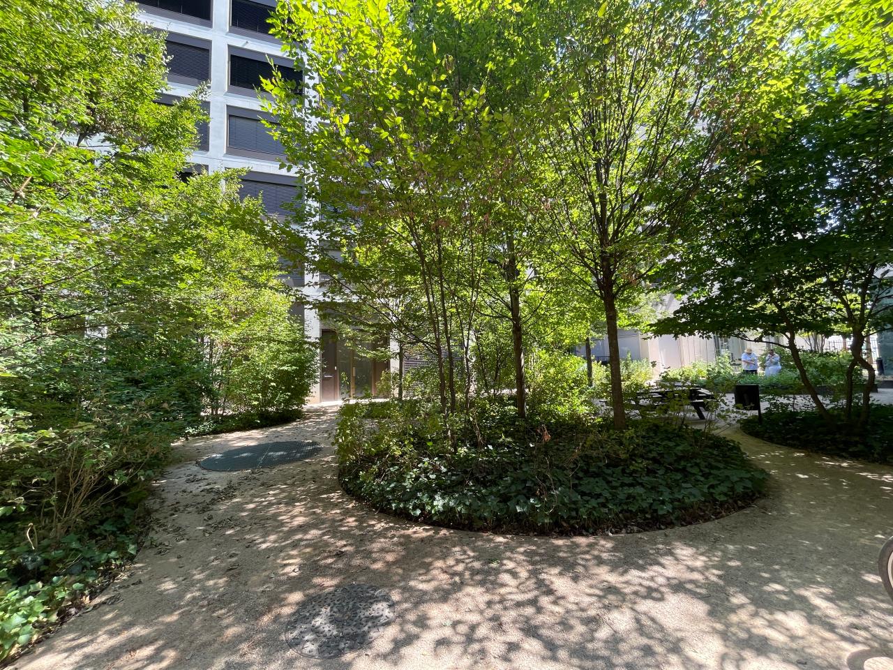 Location bureau Lyon Rhône OLBUR2643660 8