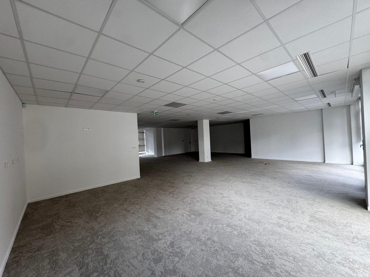 Location bureau Lyon Rhône OLBUR2535623 8