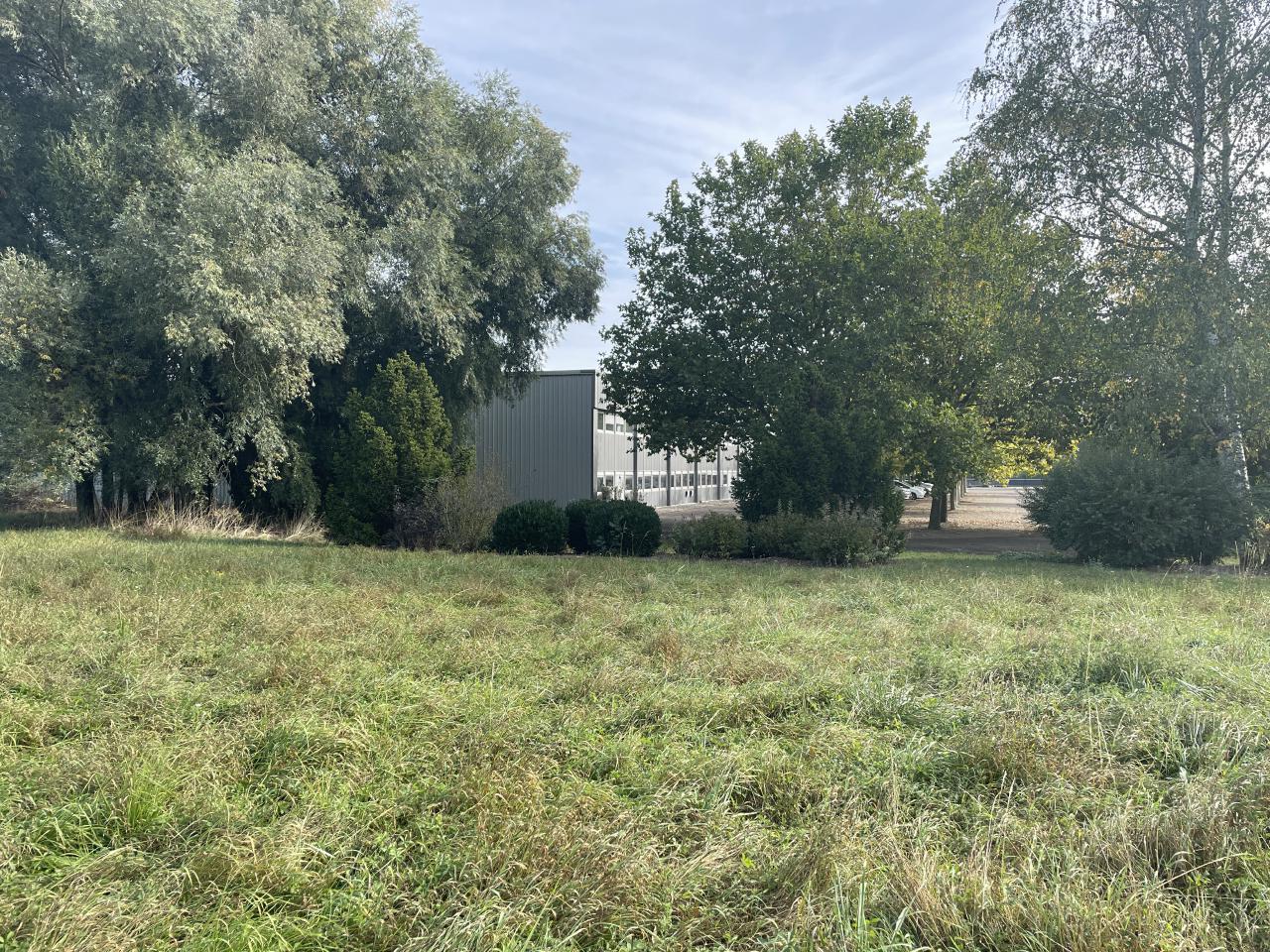 Vente terrain Dettwiller Bas-Rhin OVACT2315926 11