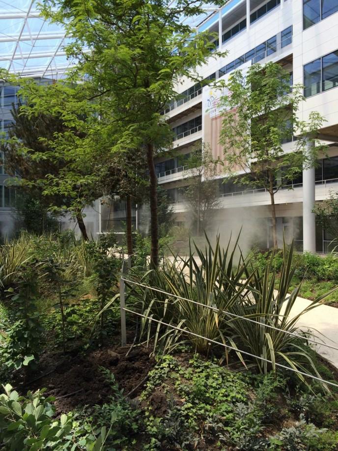 Location bureau Clamart Hauts-de-Seine OLBUR2100319 15