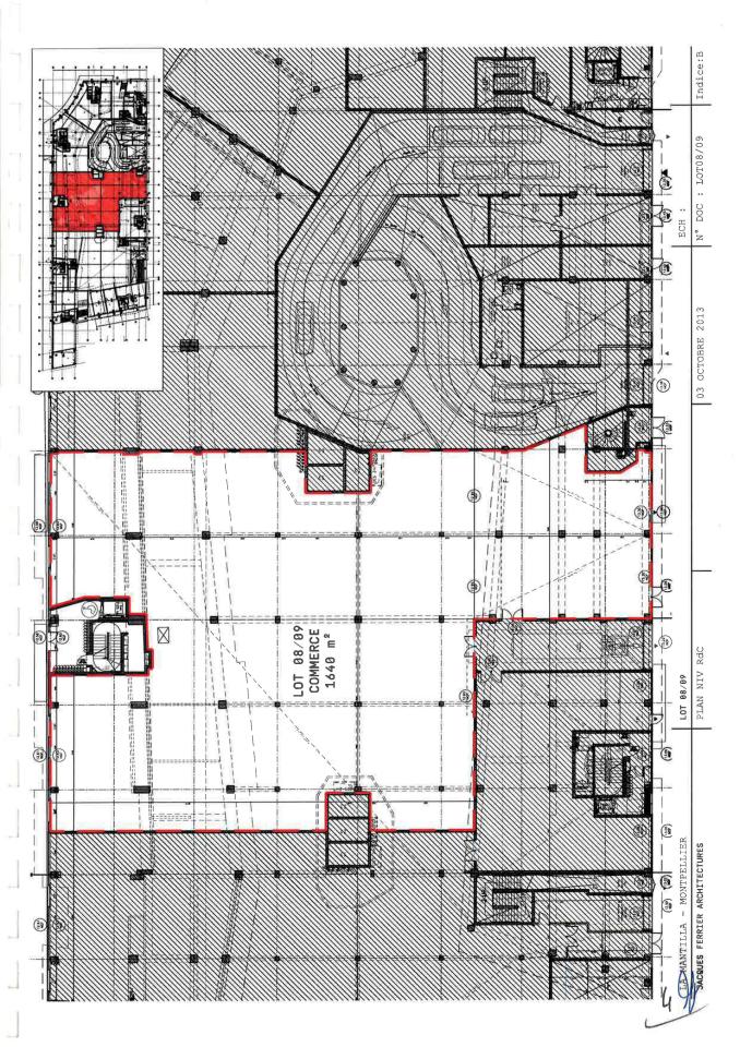 Location commerce Montpellier Hérault OLCOM2535189 4