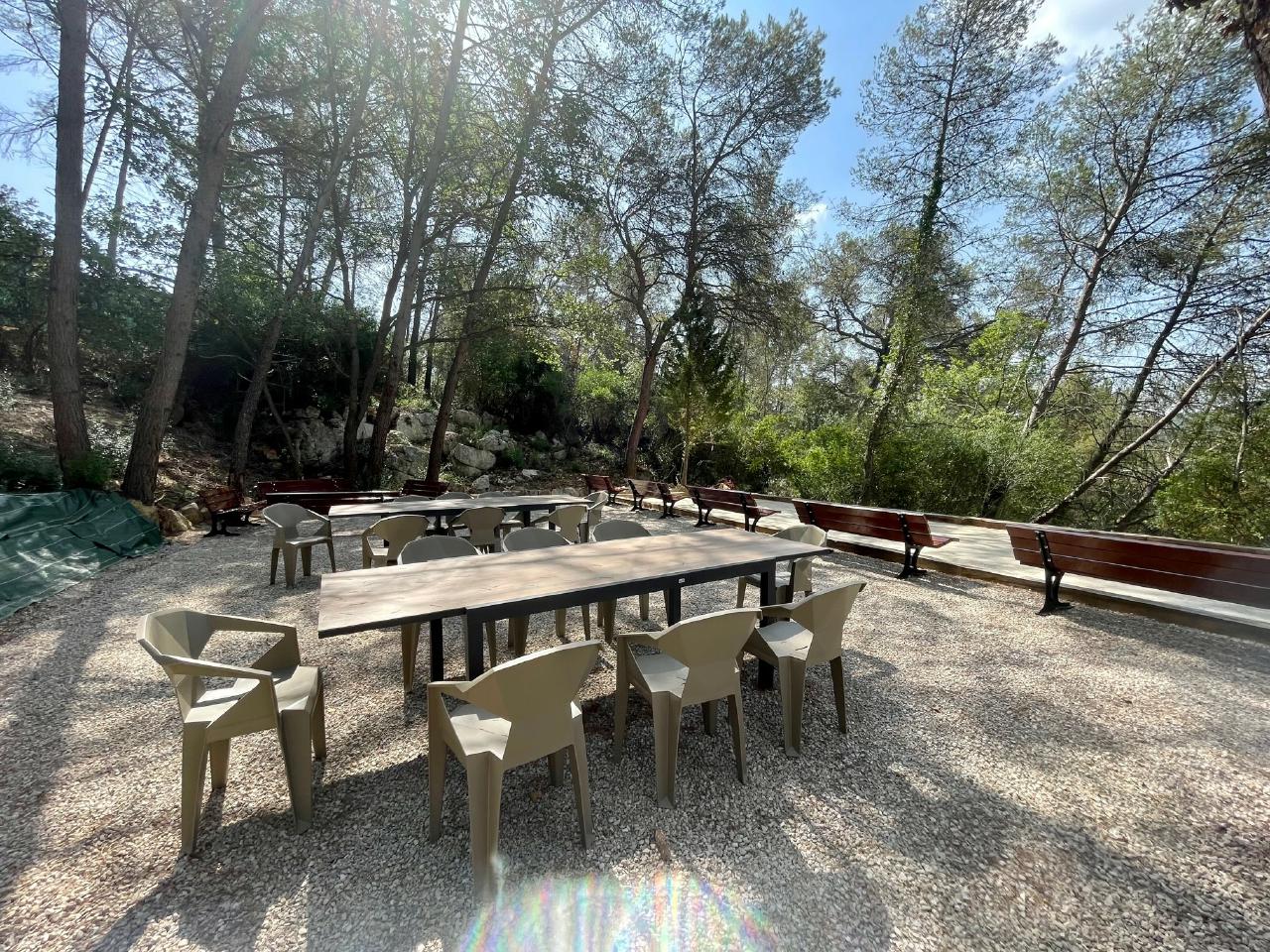 Location local d'activité Sophia Antipolis Alpes-Maritimes OLACT2317493 14