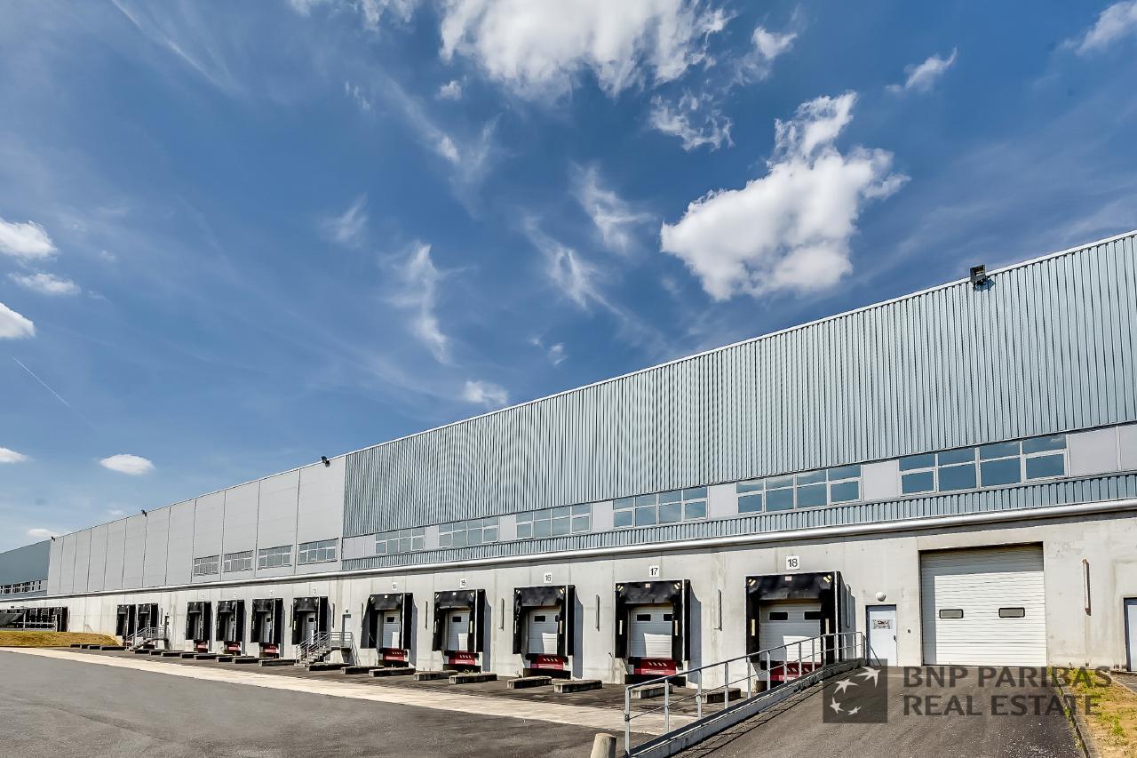 Location local d'activité Combs-la-Ville Seine-et-Marne OLACT2425674 2