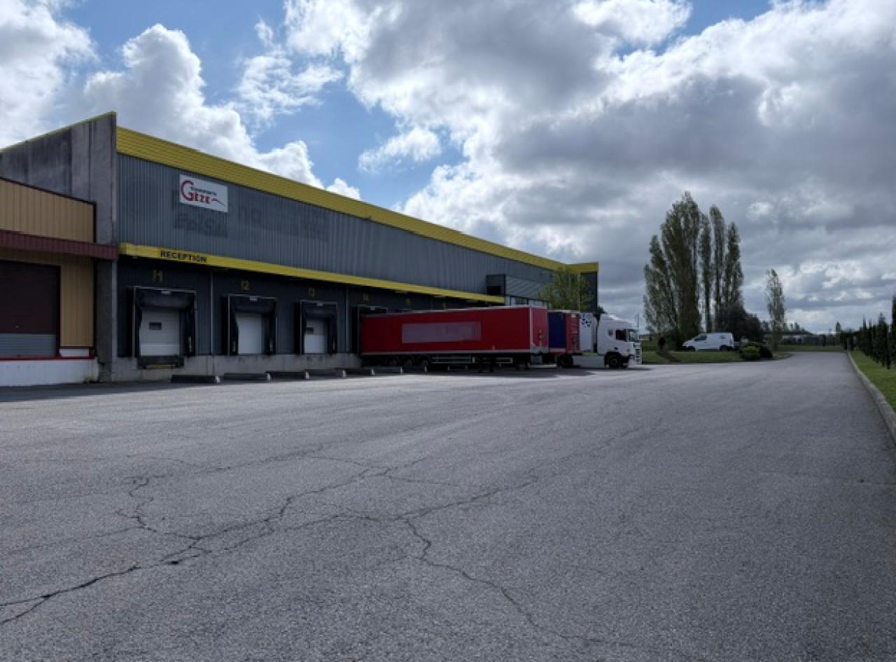 Location entrepôt Saint-Alban Haute-Garonne OLLOG2643084 3