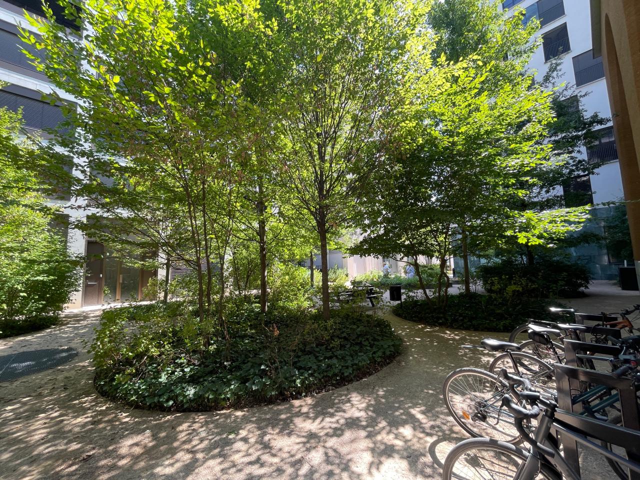 Location bureau Lyon Rhône OLBUR2643660 9