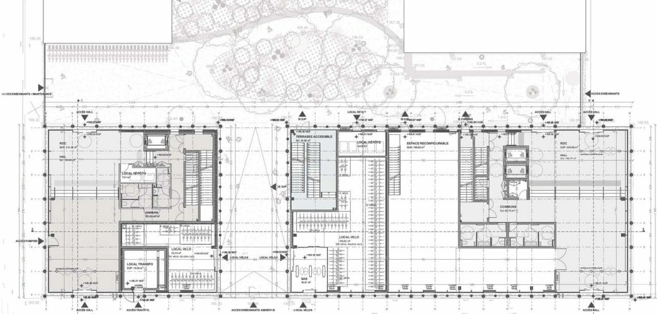 Location bureau Lyon Rhône OLBUR2528955 20