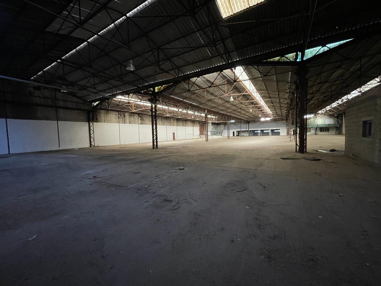 Location local d'activité La Trinité Alpes-Maritimes OLACT2420973 7