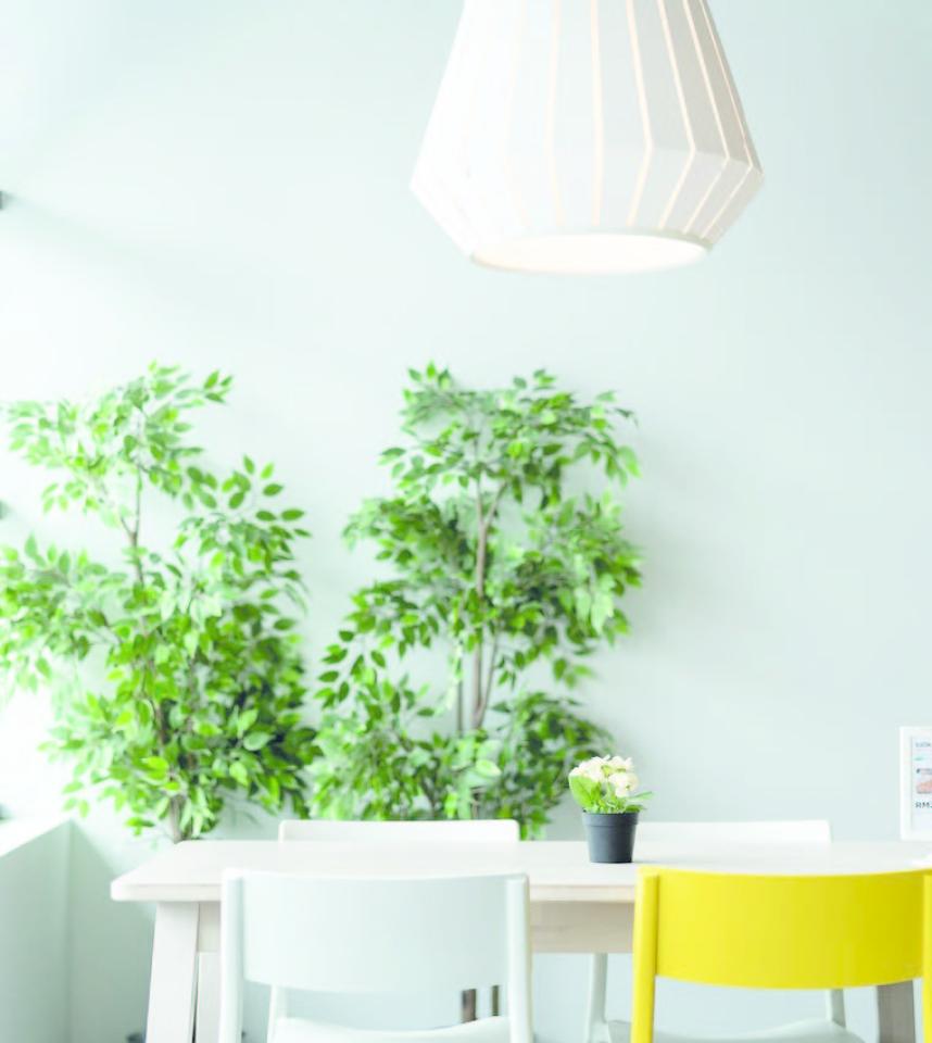 Location local d'activité Bron Rhône OLACT2638382 2