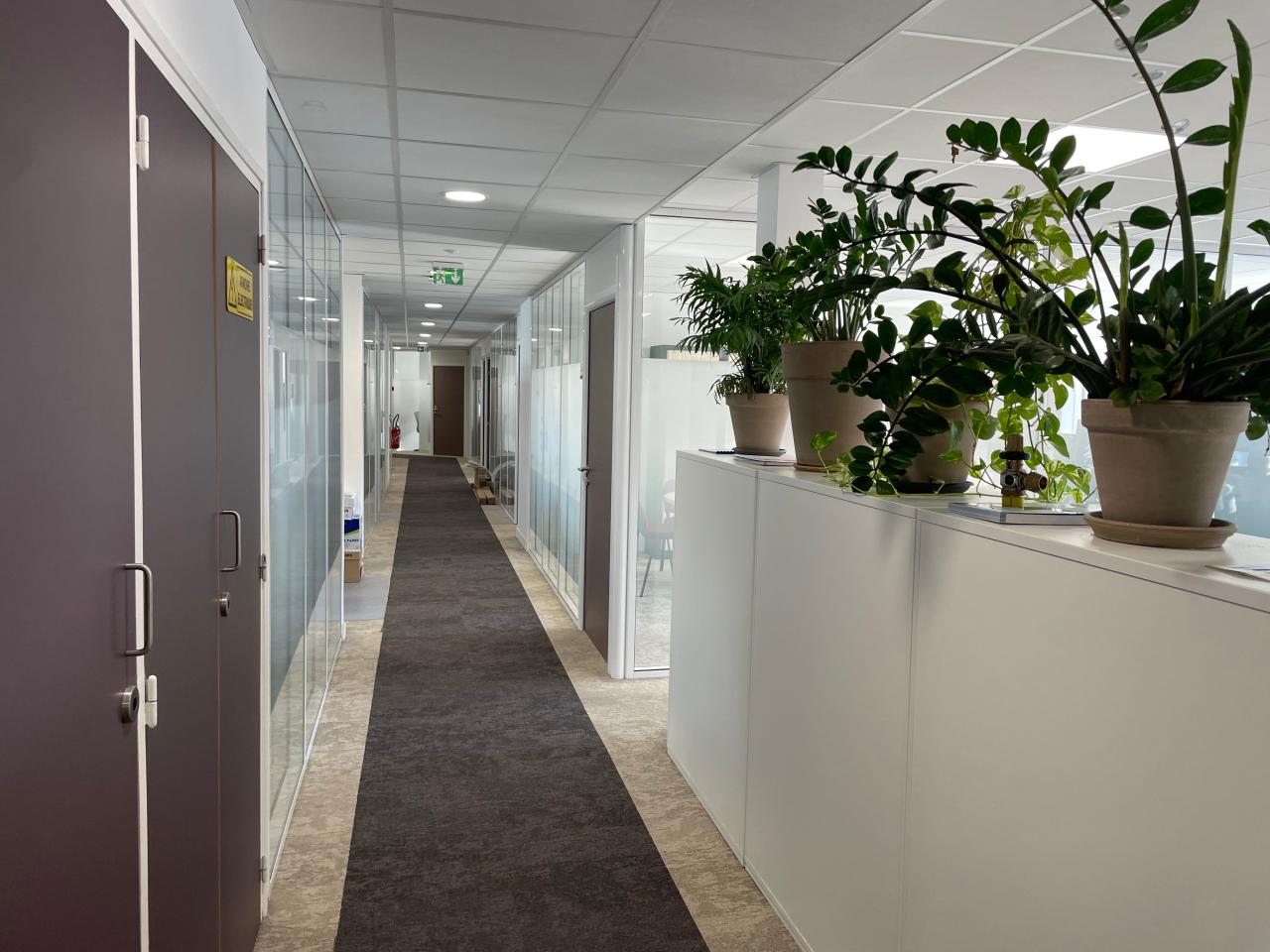 Location bureau Montpellier Hérault OLBUR2428183 6