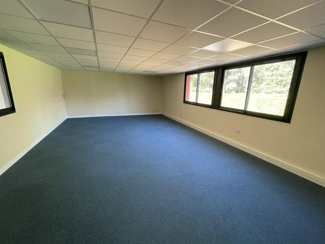 Location local d'activité Antibes Alpes-Maritimes OLACT2639147 12