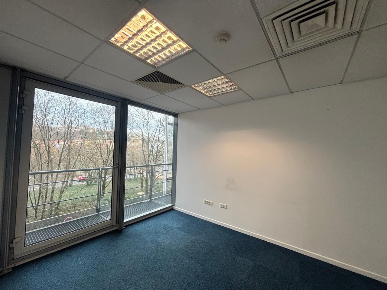 Location bureau Lyon Rhône OLBUR2536606 10