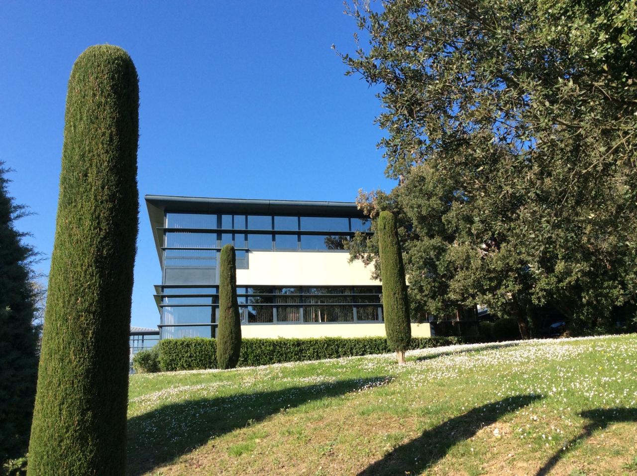 Location bureau Biot Alpes-Maritimes OLBUR2419718 6