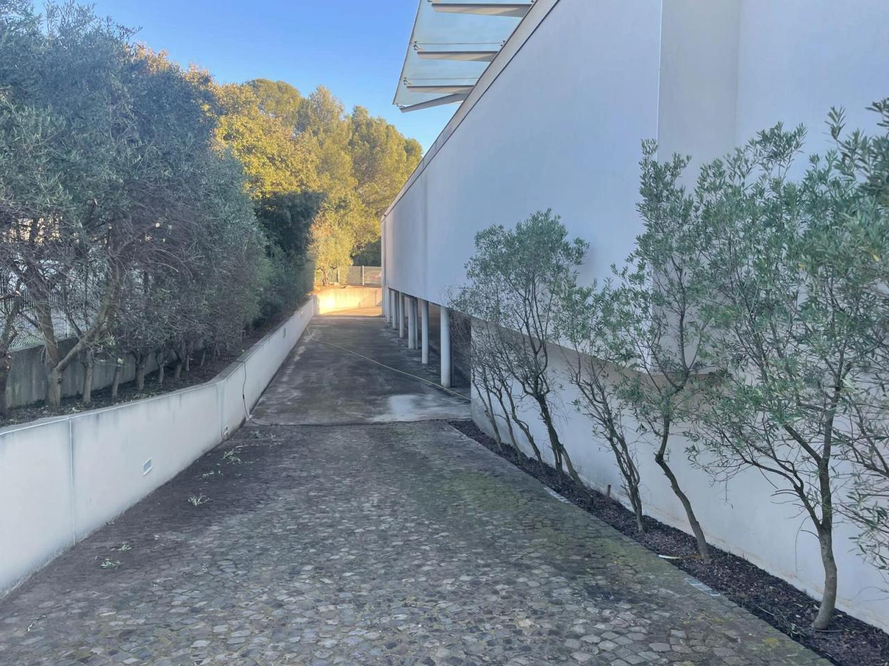 Vente bureau Mauguio Hérault OVBUR2642025 8