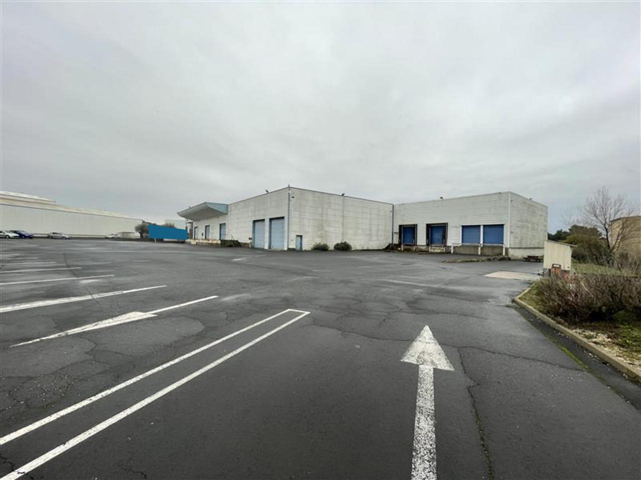 Location local d'activité Saint-Thibéry Hérault OLACT2646232 11