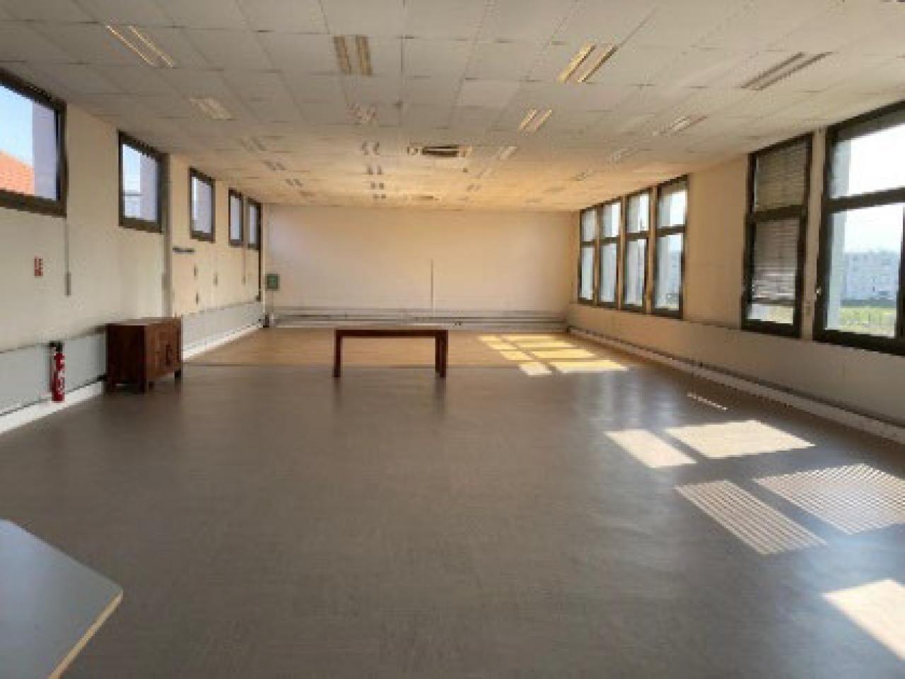 Location local d'activité Vénissieux Rhône OLACT2533374 13