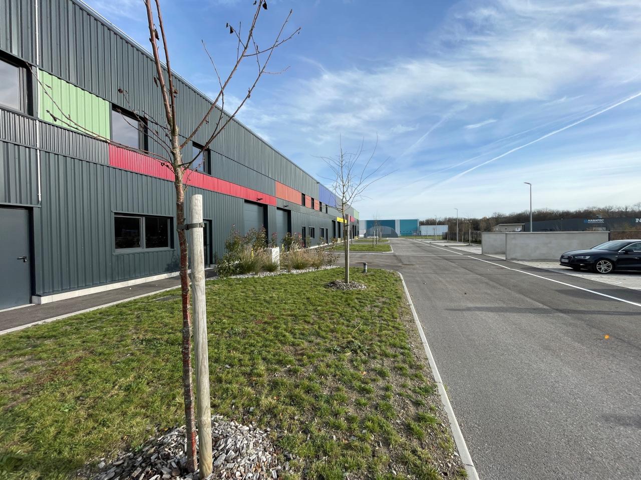 Location local d'activité Burnhaupt-le-Haut Haut-Rhin OLACT2419846 3