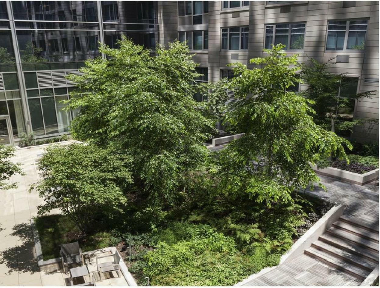 Location bureau Montpellier Hérault OLBUR2115340 6