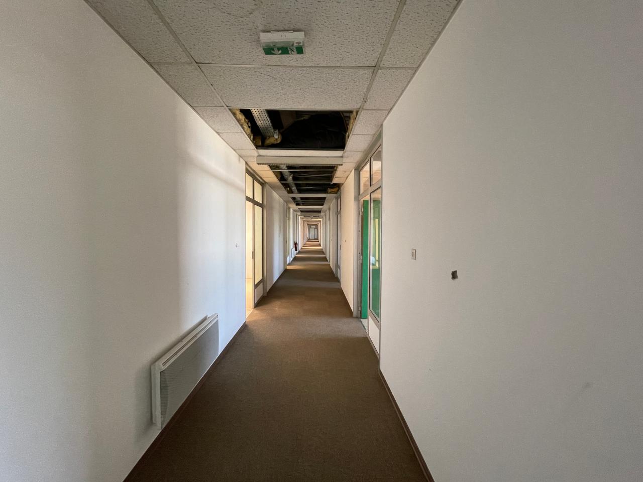 Vente entrepôt Illkirch-Graffenstaden Bas-Rhin OVLOG2537753 13