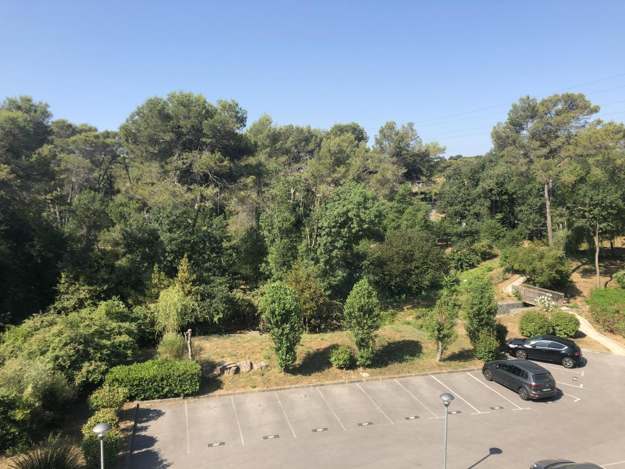 Location bureau Mougins Alpes-Maritimes OLBUR2420076 1