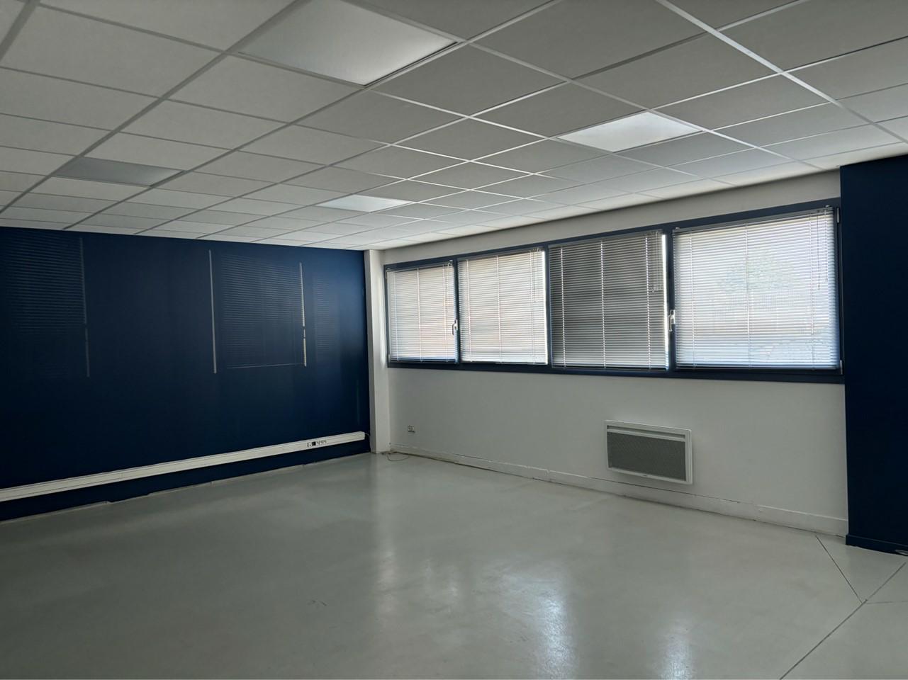 Location local d'activité Miribel Ain OLACT2422412 6