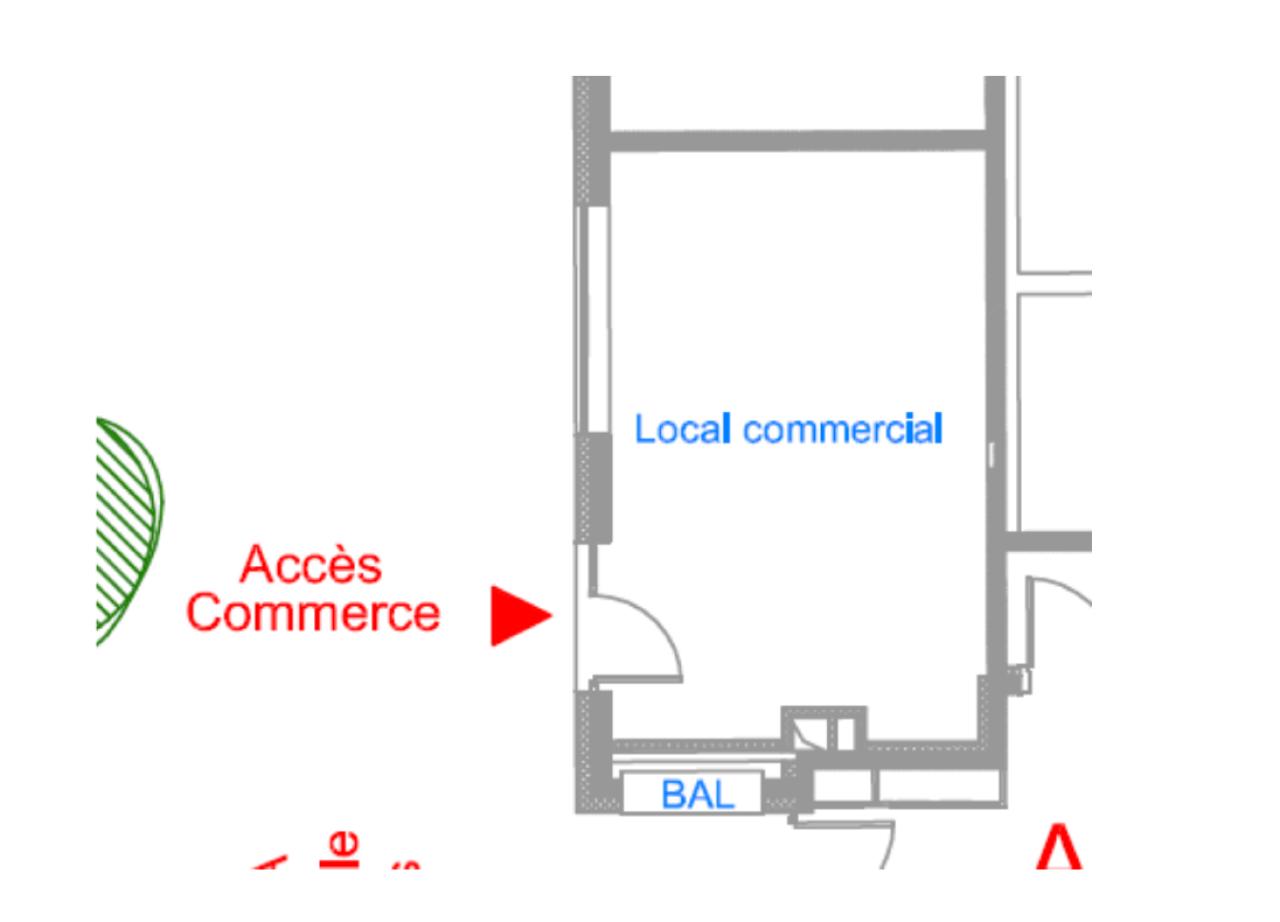 Location commerce Montpellier Hérault OLCOM2640513 4